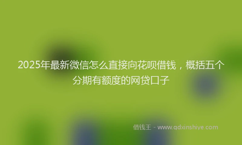 2025年最新微信怎么直接向花呗借钱，概括五个分期有额度的网贷口子