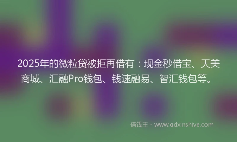 2025年的微粒贷被拒再借有：现金秒借宝、天美商城、汇融Pro钱包、钱速融易、智汇钱包等。