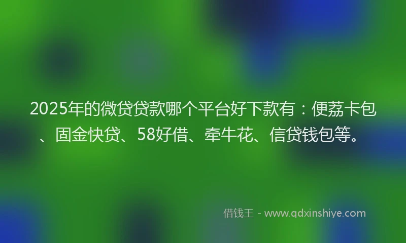 2025年的微贷贷款哪个平台好下款有：便荔卡包、固金快贷、58好借、牵牛花、信贷钱包等。