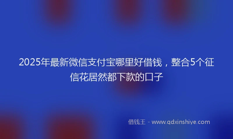 2025年最新微信支付宝哪里好借钱，整合5个征信花居然都下款的口子