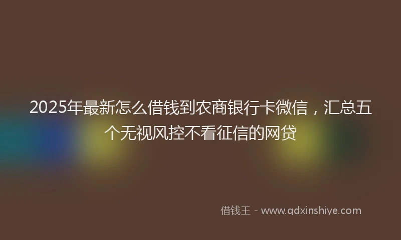 2025年最新怎么借钱到农商银行卡微信，汇总五个无视风控不看征信的网贷