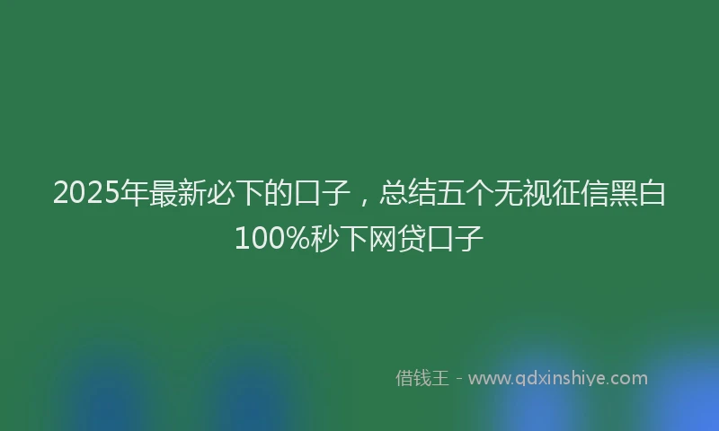 2025年最新必下的口子，总结五个无视征信黑白100%秒下网贷口子