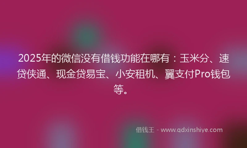 2025年的微信没有借钱功能在哪有：玉米分、速贷侠通、现金贷易宝、小安租机、翼支付Pro钱包等。