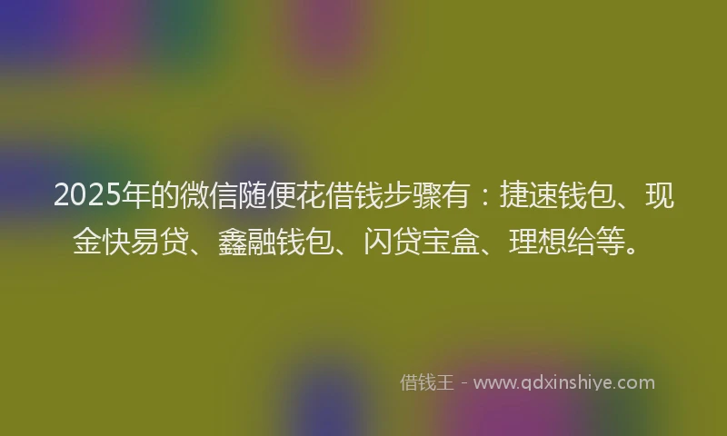 2025年的微信随便花借钱步骤有：捷速钱包、现金快易贷、鑫融钱包、闪贷宝盒、理想给等。