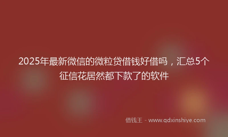 2025年最新微信的微粒贷借钱好借吗，汇总5个征信花居然都下款了的软件