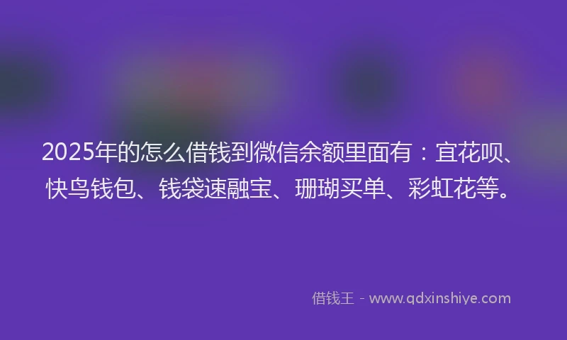 2025年的怎么借钱到微信余额里面有：宜花呗、快鸟钱包、钱袋速融宝、珊瑚买单、彩虹花等。