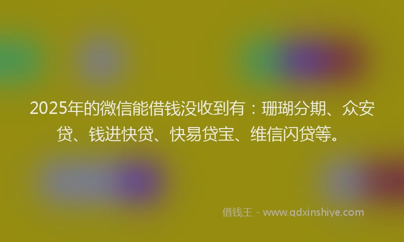 2025年的微信能借钱没收到有：珊瑚分期、众安贷、钱进快贷、快易贷宝、维信闪贷等。