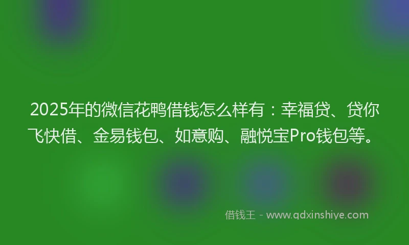 2025年的微信花鸭借钱怎么样有：幸福贷、贷你飞快借、金易钱包、如意购、融悦宝Pro钱包等。