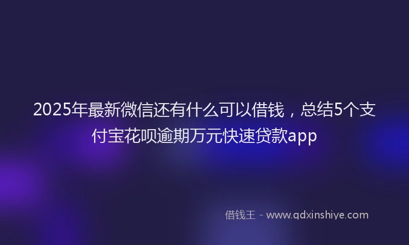 2025年最新微信还有什么可以借钱，总结5个支付宝花呗逾期万元快速贷款app