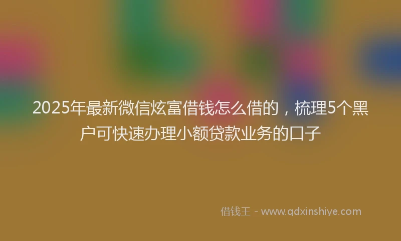 2025年最新微信炫富借钱怎么借的，梳理5个黑户可快速办理小额贷款业务的口子