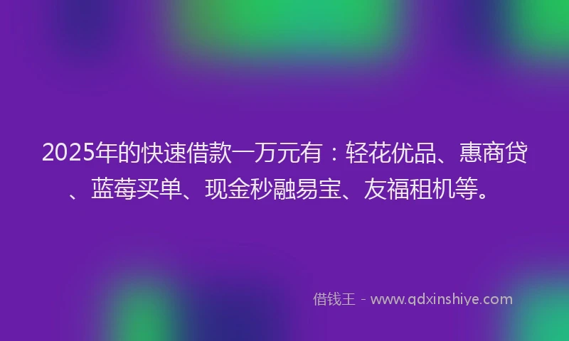 2025年的快速借款一万元有：轻花优品、惠商贷、蓝莓买单、现金秒融易宝、友福租机等。