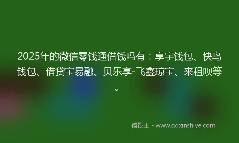 2025年的微信零钱通借钱吗有：享宇钱包、快鸟钱包、借贷宝易融、贝乐享-飞鑫琼宝、来租呗等。