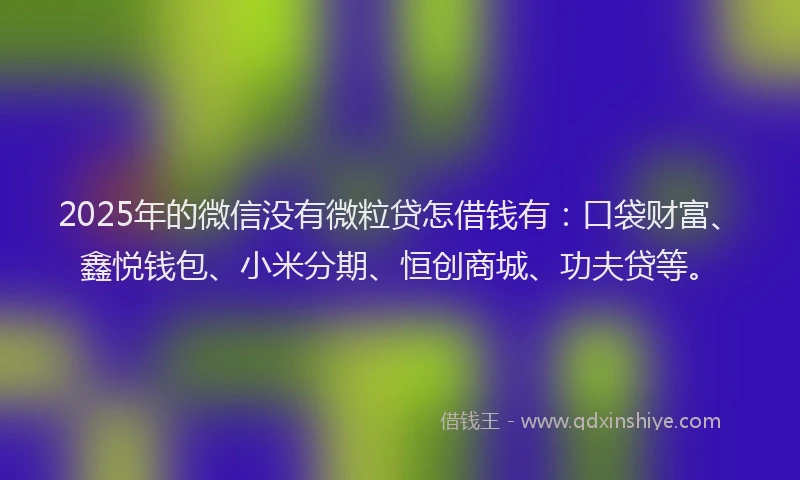2025年的微信没有微粒贷怎借钱有：口袋财富、鑫悦钱包、小米分期、恒创商城、功夫贷等。
