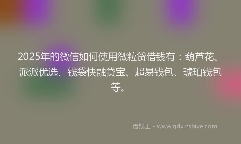2025年的微信如何使用微粒贷借钱有：葫芦花、派派优选、钱袋快融贷宝、超易钱包、琥珀钱包等。