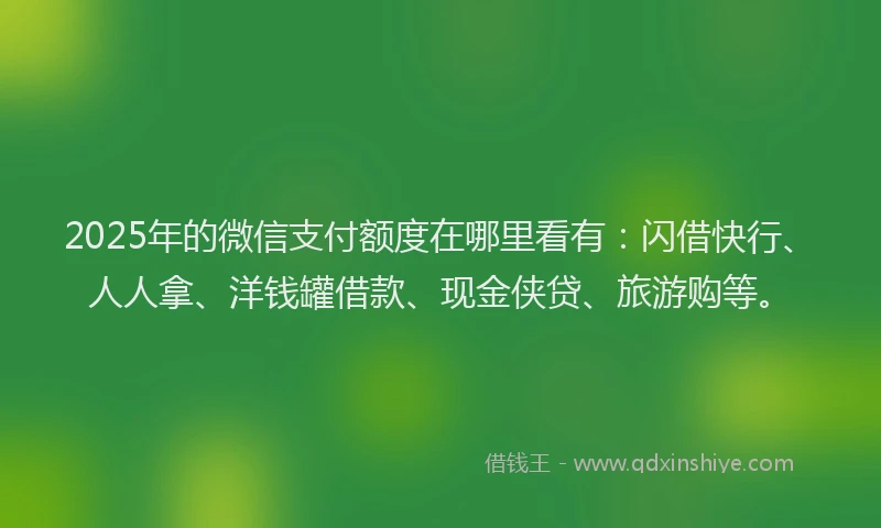 2025年的微信支付额度在哪里看有：闪借快行、人人拿、洋钱罐借款、现金侠贷、旅游购等。