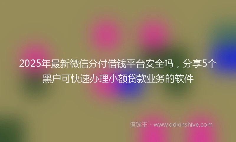 2025年最新微信分付借钱平台安全吗，分享5个黑户可快速办理小额贷款业务的软件