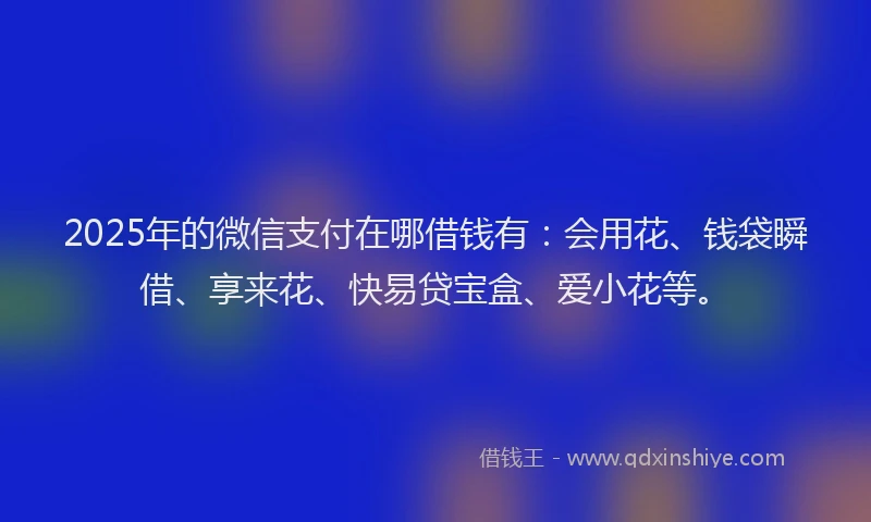 2025年的微信支付在哪借钱有：会用花、钱袋瞬借、享来花、快易贷宝盒、爱小花等。
