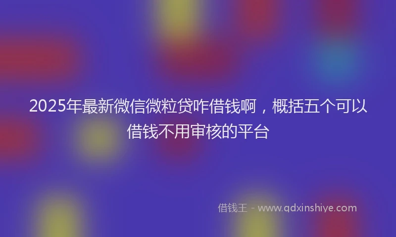 2025年最新微信微粒贷咋借钱啊，概括五个可以借钱不用审核的平台
