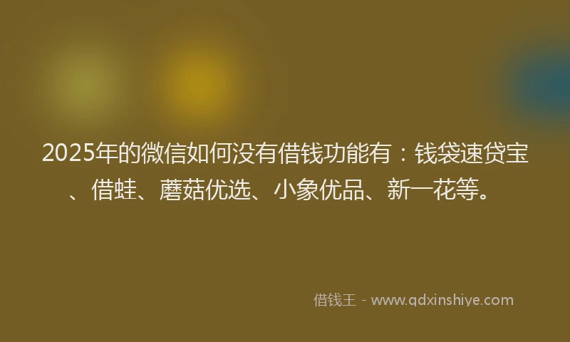 2025年的微信如何没有借钱功能有：钱袋速贷宝、借蛙、蘑菇优选、小象优品、新一花等。