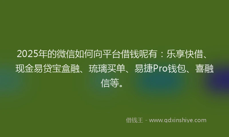 2025年的微信如何向平台借钱呢有：乐享快借、现金易贷宝盒融、琉璃买单、易捷Pro钱包、喜融信等。