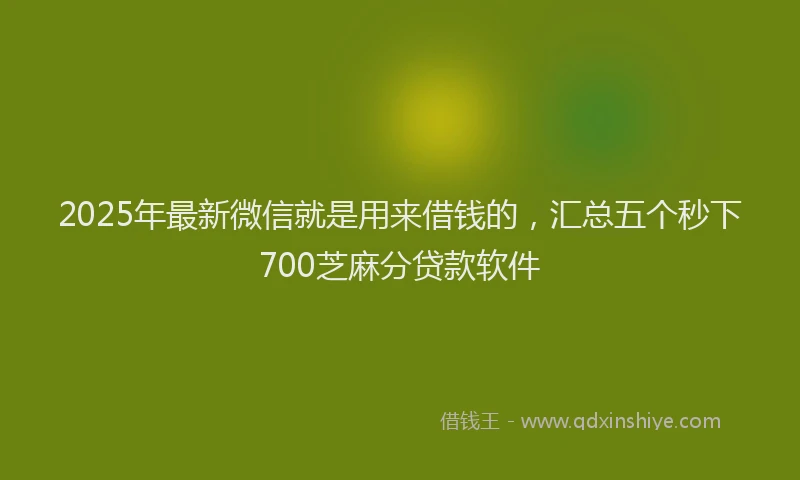 2025年最新微信就是用来借钱的，汇总五个秒下700芝麻分贷款软件