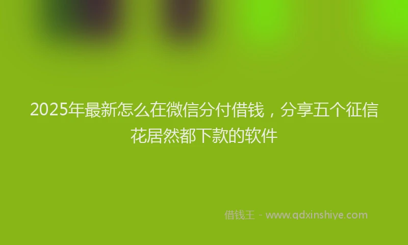 2025年最新怎么在微信分付借钱，分享五个征信花居然都下款的软件