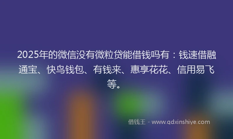 2025年的微信没有微粒贷能借钱吗有：钱速借融通宝、快鸟钱包、有钱来、惠享花花、信用易飞等。