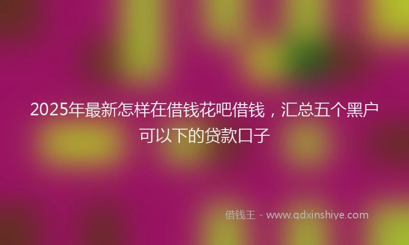 2025年最新怎样在借钱花吧借钱，汇总五个黑户可以下的贷款口子