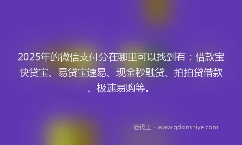 2025年的微信支付分在哪里可以找到有：借款宝快贷宝、易贷宝速易、现金秒融贷、拍拍贷借款、极速易购等。