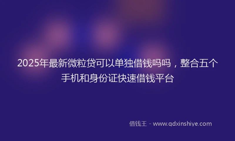 2025年最新微粒贷可以单独借钱吗吗，整合五个手机和身份证快速借钱平台