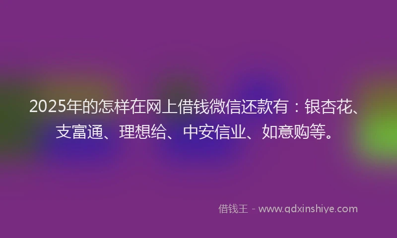 2025年的怎样在网上借钱微信还款有：银杏花、支富通、理想给、中安信业、如意购等。