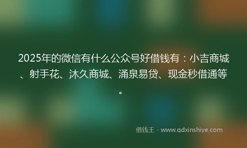 2025年的微信有什么公众号好借钱有：小吉商城、射手花、沐久商城、涌泉易贷、现金秒借通等。
