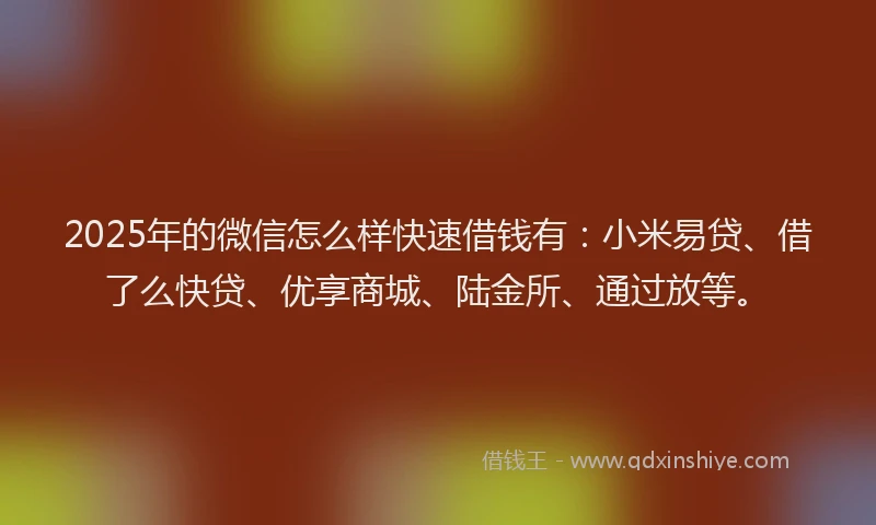 2025年的微信怎么样快速借钱有：小米易贷、借了么快贷、优享商城、陆金所、通过放等。