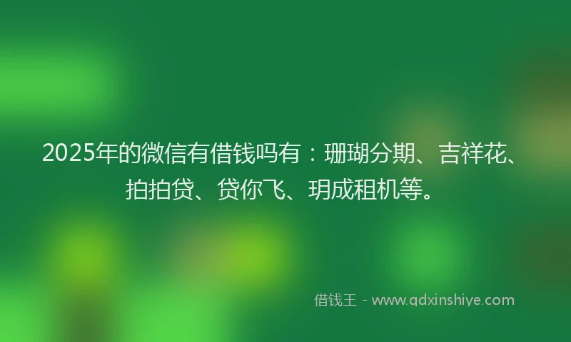 2025年的微信有借钱吗有：珊瑚分期、吉祥花、拍拍贷、贷你飞、玥成租机等。