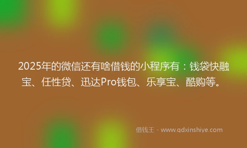 2025年的微信还有啥借钱的小程序有：钱袋快融宝、任性贷、迅达Pro钱包、乐享宝、酷购等。