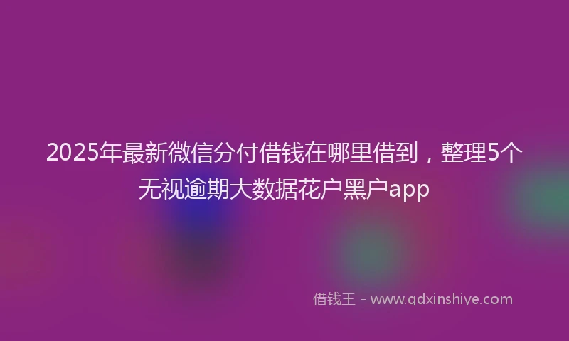 2025年最新微信分付借钱在哪里借到，整理5个无视逾期大数据花户黑户app
