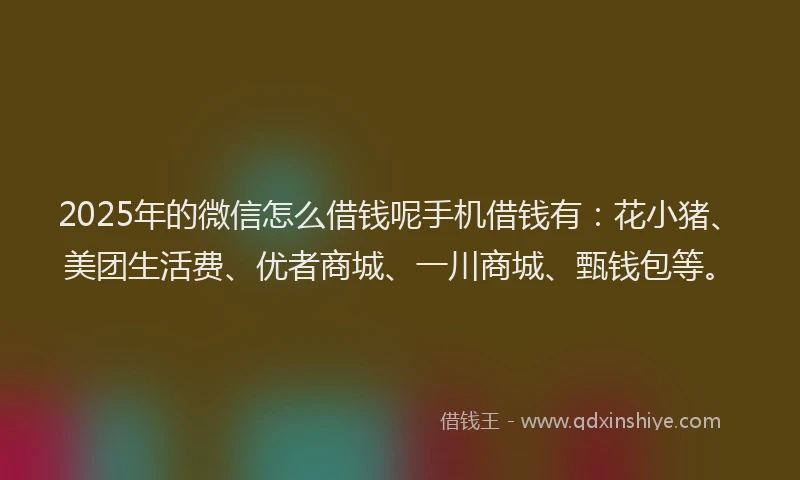 2025年的微信怎么借钱呢手机借钱有：花小猪、美团生活费、优者商城、一川商城、甄钱包等。