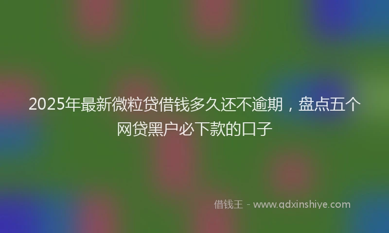2025年最新微粒贷借钱多久还不逾期，盘点五个网贷黑户必下款的口子