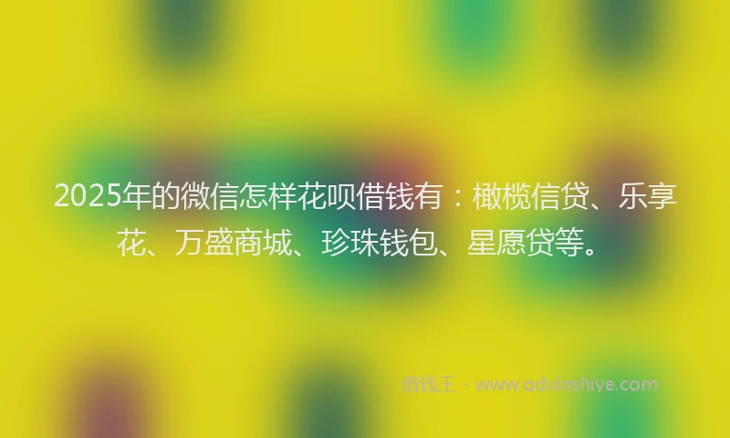2025年的微信怎样花呗借钱有：橄榄信贷、乐享花、万盛商城、珍珠钱包、星愿贷等。