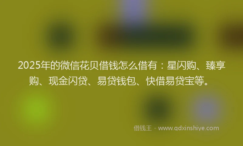 2025年的微信花贝借钱怎么借有：星闪购、臻享购、现金闪贷、易贷钱包、快借易贷宝等。