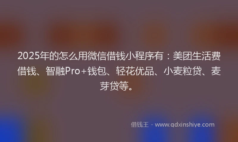 2025年的怎么用微信借钱小程序有：美团生活费借钱、智融Pro+钱包、轻花优品、小麦粒贷、麦芽贷等。