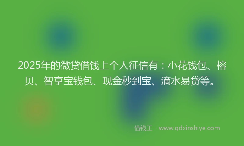 2025年的微贷借钱上个人征信有：小花钱包、榕贝、智享宝钱包、现金秒到宝、滴水易贷等。