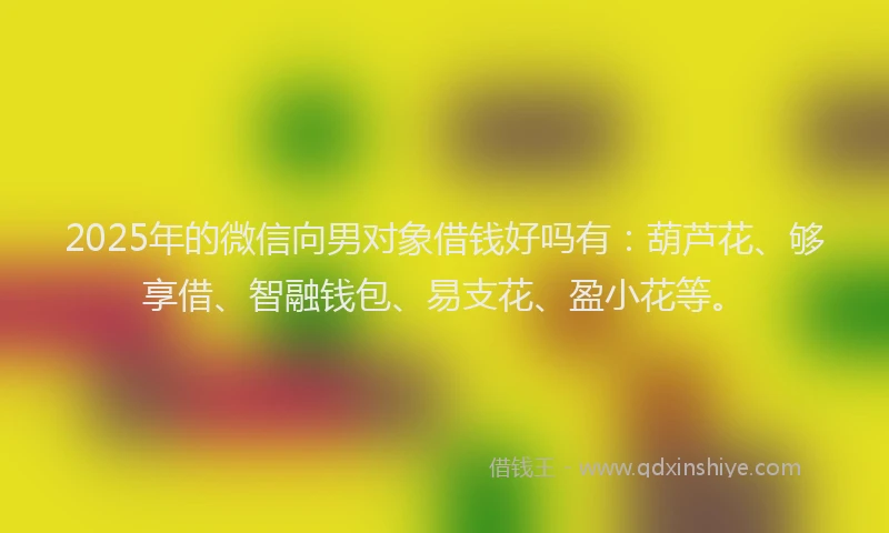 2025年的微信向男对象借钱好吗有：葫芦花、够享借、智融钱包、易支花、盈小花等。