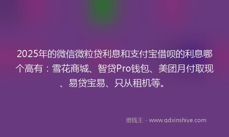 2025年的微信微粒贷利息和支付宝借呗的利息哪个高有：雪花商城、智贷Pro钱包、美团月付取现、易贷宝易、只从租机等。