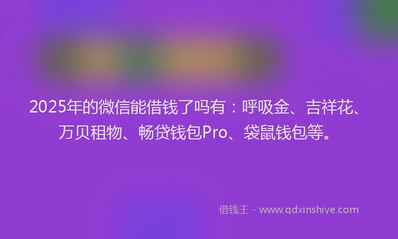2025年的微信能借钱了吗有：呼吸金、吉祥花、万贝租物、畅贷钱包Pro、袋鼠钱包等。