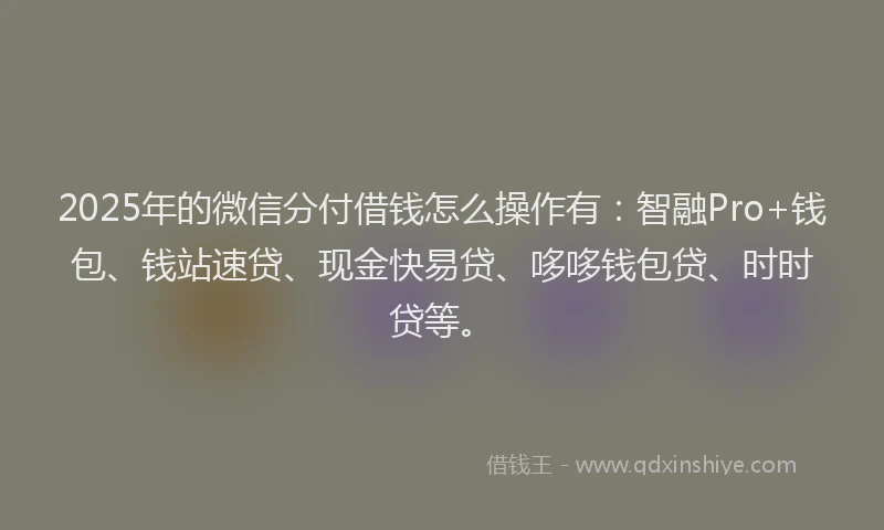 2025年的微信分付借钱怎么操作有：智融Pro+钱包、钱站速贷、现金快易贷、哆哆钱包贷、时时贷等。