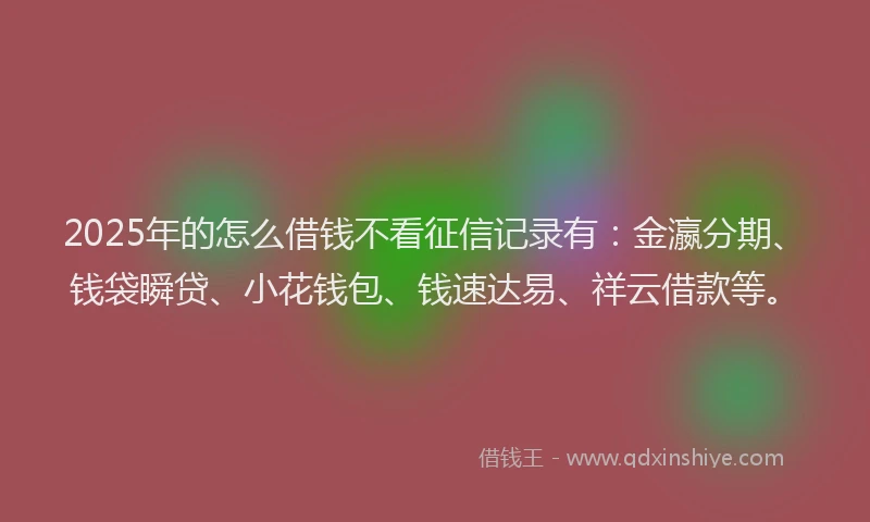 2025年的怎么借钱不看征信记录有：金瀛分期、钱袋瞬贷、小花钱包、钱速达易、祥云借款等。