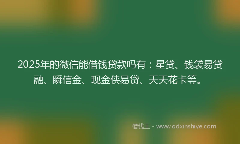 2025年的微信能借钱贷款吗有：星贷、钱袋易贷融、瞬信金、现金侠易贷、天天花卡等。