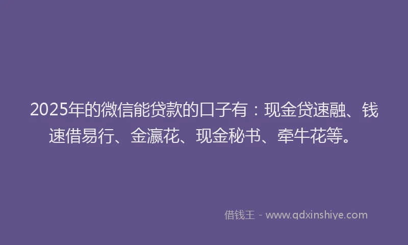 2025年的微信能贷款的口子有：现金贷速融、钱速借易行、金瀛花、现金秘书、牵牛花等。