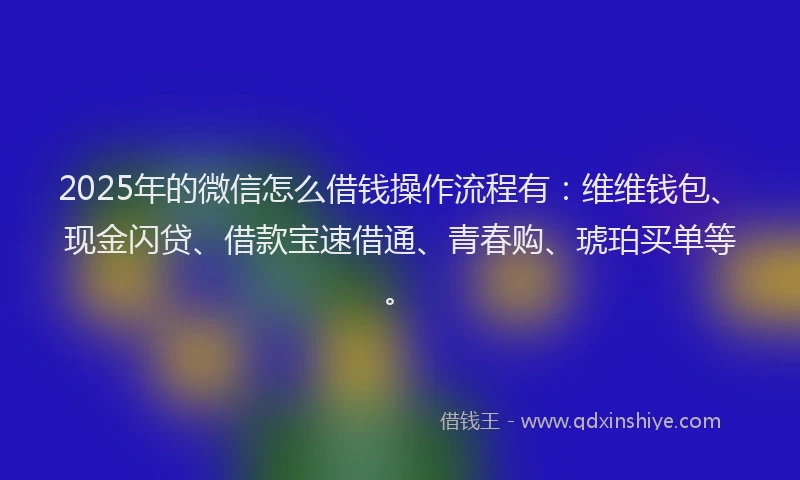 2025年的微信怎么借钱操作流程有：维维钱包、现金闪贷、借款宝速借通、青春购、琥珀买单等。